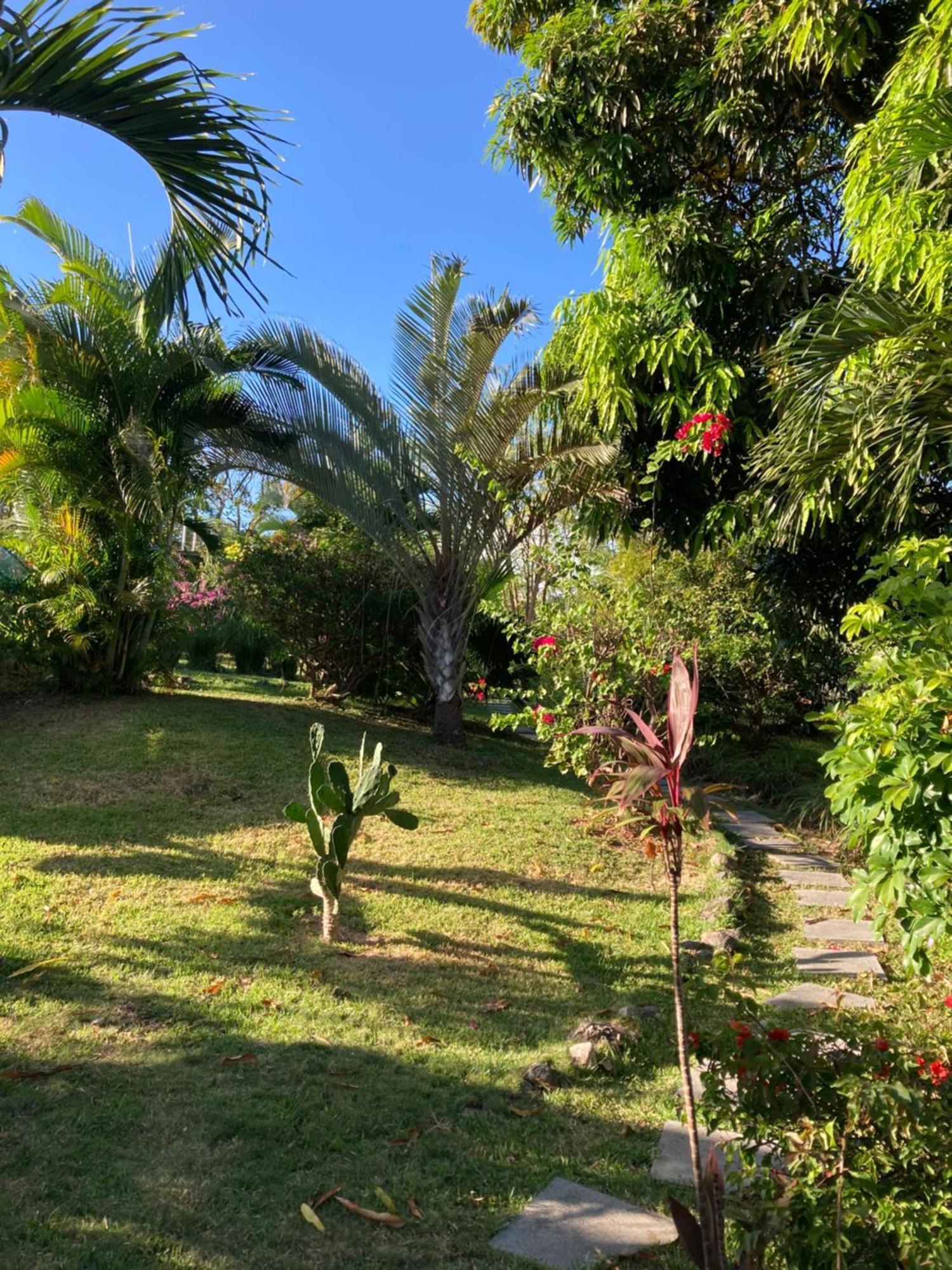 플라야 코로나도 La Maracuya Panama B&B 외부 사진