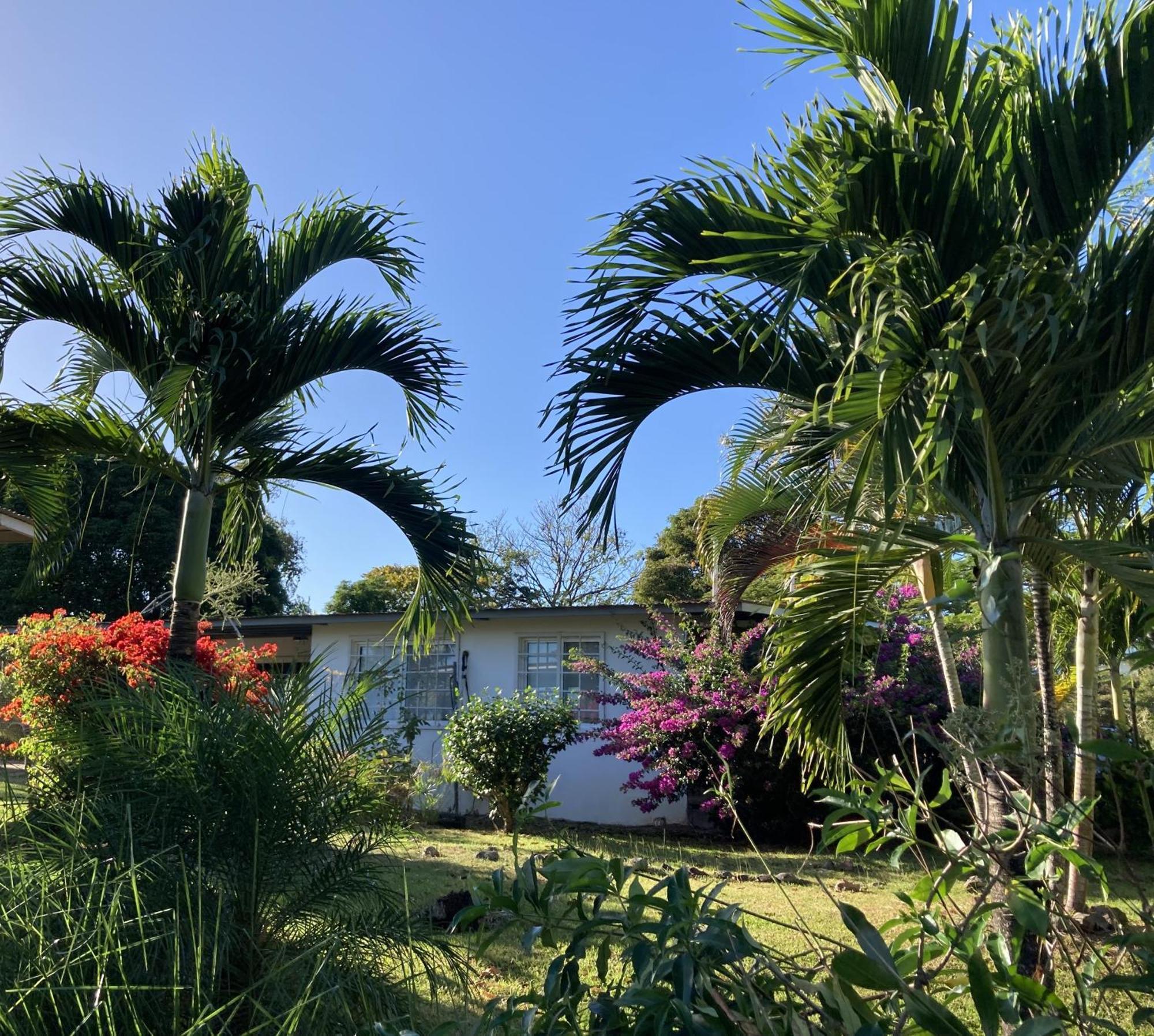 플라야 코로나도 La Maracuya Panama B&B 외부 사진