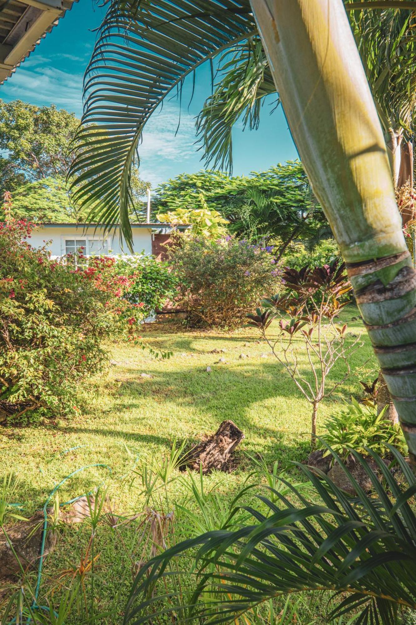 플라야 코로나도 La Maracuya Panama B&B 외부 사진